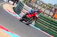 Vintage-motorcycle-club;eventdigitalimages;mallory-park;mallory-park-trackday-photographs;no-limits-trackdays;peter-wileman-photography;trackday-digital-images;trackday-photos;vmcc-festival-1000-bikes-photographs